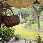 ベッド・アンド・ブレックファスト Casa Della Nonna ピアーノ・ディ・ソッレント
