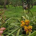 Casa Della Nonna
