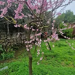Casa Della Nonna