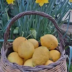 Casa Della Nonna ベッド・アンド・ブレックファスト