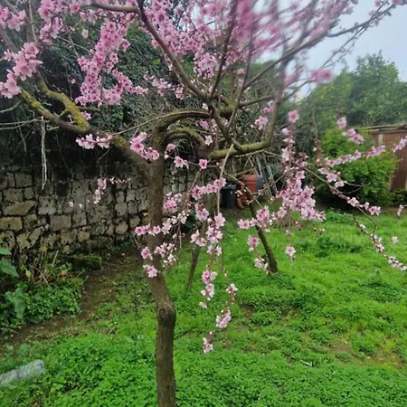 Casa Della Nonna