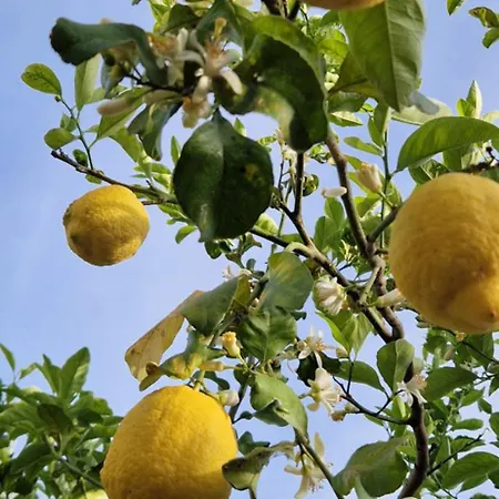 Casa Della Nonna Alojamento de Acomodação e Pequeno-almoço