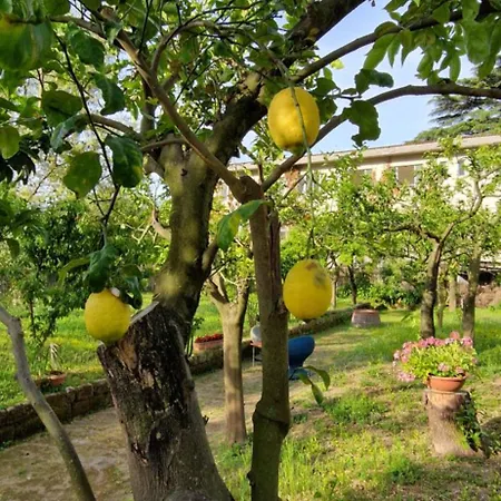 Casa Della Nonna Alojamento de Acomodação e Pequeno-almoço Piano di Sorrento