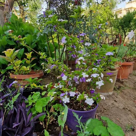 Casa Della Nonna